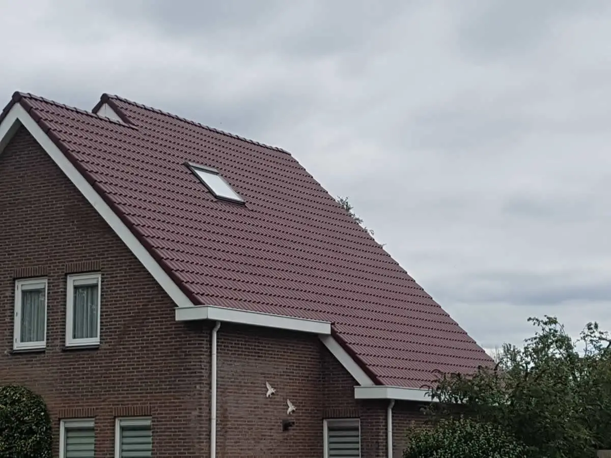 Betonnen dakpannen professioneel gecoat in Nieuw-Buinen met Disboroof 408 product